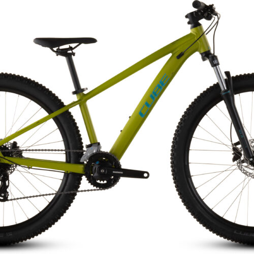 Cube Acid 260 Disc lizard´n´blue