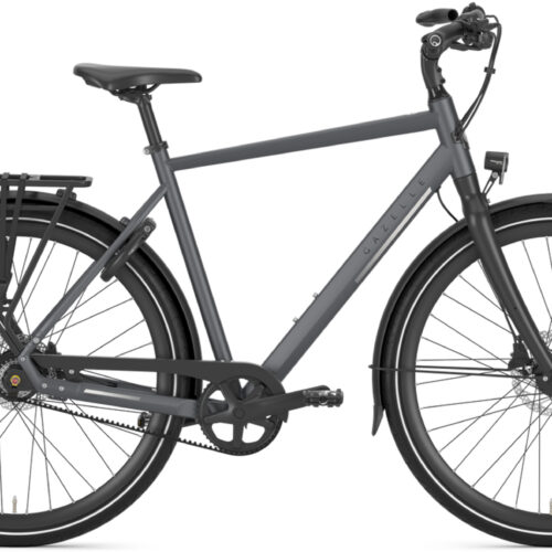 Gazelle Chamonix S11