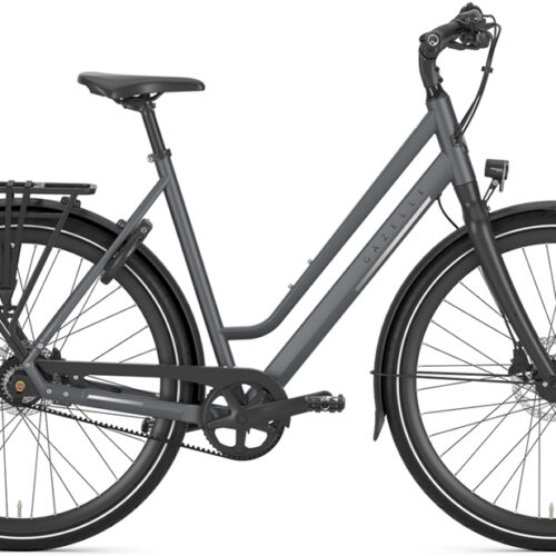 Gazelle Chamonix S11 Low-Step