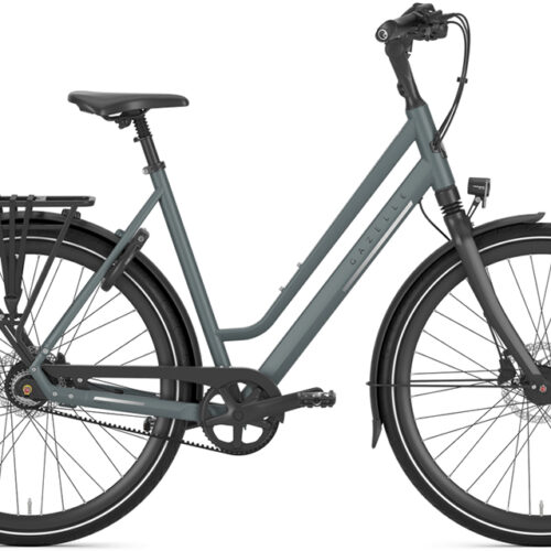 Gazelle Chamonix S8 Low-Step